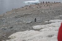 
DSC00087
